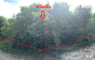 ทรัพย์สถาบันโดย KASIKORNBANK ที่ดิน ถนนสายปัตตานี-นราธิวาส(ทล.42)