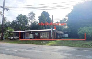 ทรัพย์ธนาคารโดย KASIKORNBANK บ้านเดี่ยว  ถนนเพชรเกษม (ทล.4)