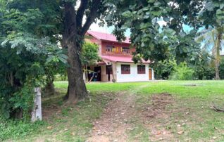 ทรัพย์ธนาคารโดย KASIKORNBANK บ้านเดี่ยว ถนนสายบ้านคำหมี - บ้านโนนโพธิ์