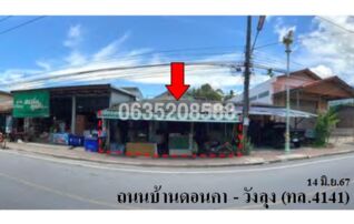 ขายบ้านเดี่ยว ถนนสายดอนคา-วังลุง (ทล.4141)