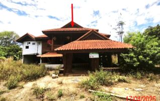 ทรัพย์ธนาคารโดย KASIKORNBANK บ้านเดี่ยว ถนนสายบ้านเหล่า - บ้านเมืองตึงใต้ (ลป.3022)