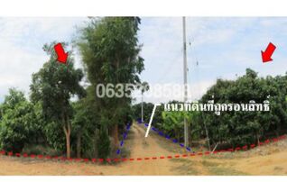 ขายที่ดิน ถนนสายศรีเตี้ย-หนองเขียด (ลพ.407)