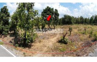 ขายที่ดิน ถนนศรีเตี้ย-บ้านหนองเขียด (ลพ.4007)