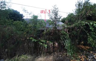 ทรัพย์ธนาคารโดย KASIKORNBANK บ้านเดี่ยว ถนนสายเชียงใหม่-ฮอด (ทล.108)