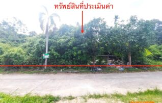 ทรัพย์ธนาคารโดย KASIKORNBANK ที่ดิน ซอยทางเข้าโรงแรม DHEVATARA ถนนปากคลอง