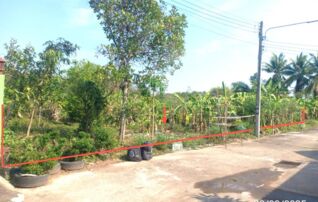 ทรัพย์สถาบันโดย KASIKORNBANK ที่ดิน บ้านภัทรา