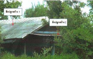 ทรัพย์สถาบันโดย GHB บ้านเดี่ยว ถนนสายหนองพยอม-วังหลุม(