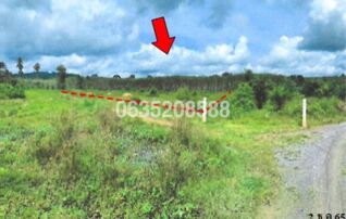 ขายที่ดิน ถนนสายไทรห้อง-บ้านวังขรี (นศ.3022)