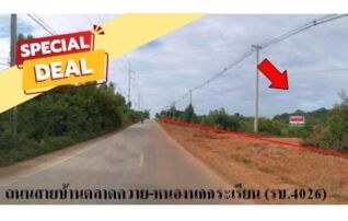 ทรัพย์สถาบันโดย บริษัท บริหารสินทรัพย์สุขุมวิท จำกัด ที่ดิน ถนนสายบ้านตลาดควาย-หนองนกกระเรียน (รบ.4026)