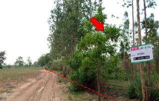 ทรัพย์สถาบันโดย บริษัท บริหารสินทรัพย์สุขุมวิท จำกัด ที่ดิน ถนนสายบ้านโป่งคองเหนือ-บ้านเขว้า (ชย.3007)