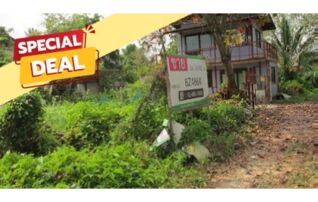 ทรัพย์สถาบันโดย บริษัท บริหารสินทรัพย์สุขุมวิท จำกัด ที่ดิน ถนนนครลุง