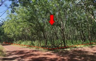 ทรัพย์ธนาคารโดย บริษัท บริหารสินทรัพย์สุขุมวิท จำกัด บ้านเดี่ยว ถนนสายบ้านาป่าน-บ้านคำไผ่ (บก.3013)