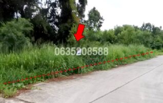 ขายที่ดิน สวนวลีแลนด์ 4 (Baan Suan Walee Land 4)