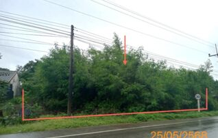 ทรัพย์ธนาคารโดย KASIKORNBANK ที่ดิน ถนนสายบ้านพรุขี้กา - บ้านป่าใหม่