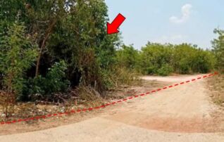 ทรัพย์สถาบันโดย บริษัท บริหารสินทรัพย์สุขุมวิท จำกัด ที่ดิน ซอยบุญวิเศษ ถนนมิตรภาพ (ทล.2)