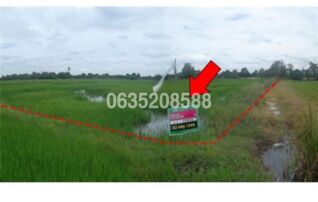 ขายที่ดิน ถนนสายนครปฐม-ดอนตูม (ทล.3036)
