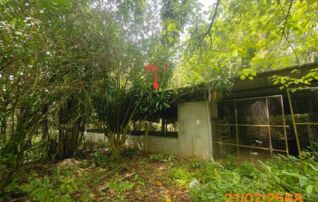 ทรัพย์ธนาคารโดย KASIKORNBANK บ้านเดี่ยว ถนนเพชรเกษม (ทล.4)