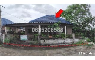 ขายบ้านเดี่ยว พีนัท