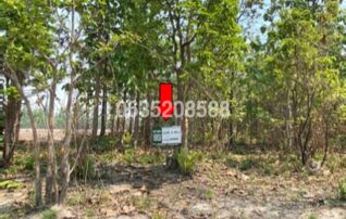ขายที่ดิน ถนนสายบ้านหนองน้อย-บ้านสถานี (ลป.4267)