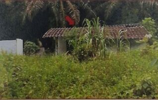 ทรัพย์สถาบันโดย GHB บ้านเดี่ยว ซอยหนองคล้า ถนนสายคลองท่อมใต้-บ้านค