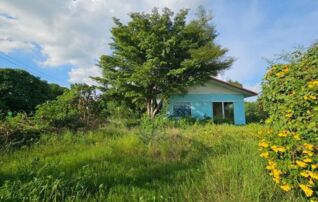 ทรัพย์สถาบันโดย GHB บ้านเดี่ยว ถนนพหลโยธิน(ทล.1)