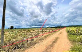 ทรัพย์ธนาคารโดย KASIKORNBANK ที่ดิน ถนนสายบ้านลำเหย-บ้านสามยอด
