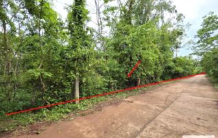 ทรัพย์ธนาคารโดย KASIKORNBANK ที่ดิน ถนนสายสกลนคร-นครพนม(ทล.22)