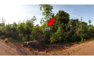 ทรัพย์สถาบันโดย บริษัท บริหารสินทรัพย์สุขุมวิท จำกัด ที่ดิน ถนนสายบ้านยางป่า-โคกสูง (ชย.4077)