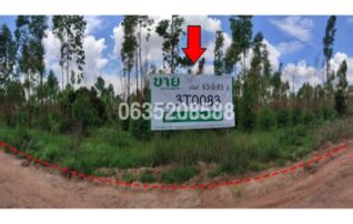 ขายที่ดิน ถนนสายชัยภูมิ-ตาดโตน (ทล.2051)