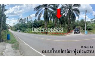 ขายที่ดิน ถนนบ้านปกาสัย-ทุ่งประสาน