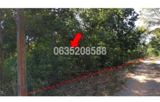 ขายที่ดิน ถนนพหลโยธิน (ทล.1)