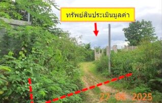 ทรัพย์สถาบันโดย KASIKORNBANK ที่ดิน ถนนบ้านป่าตอง