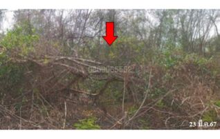 ขายที่ดิน ถนนสายพหลโยธิน-วัดม่อนพระยาแช่ (ลป.2036)
