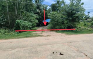 ทรัพย์ธนาคารโดย KASIKORNBANK บ้านเดี่ยว ถนนทองกวาว
