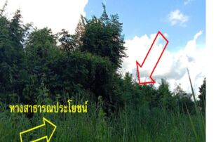 ทรัพย์สถาบันโดย GHB ที่ดิน บัวเหลี่ยมเพชร