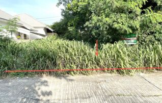 ทรัพย์สถาบันโดย KASIKORNBANK ที่ดิน ถนนกลางเมือง