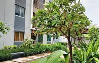 ทรัพย์สถาบันโดย GHB คอนโด เดอะ พอยต์ คอนโด รังสิต-คลอง 6 (The Point Condo Rangsit-Klong 6)