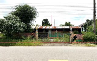 ทรัพย์ธนาคารโดย KASIKORNBANK บ้านเดี่ยว ถนนสายทรายทองวัฒนา-บ้านหนองนกชุมใต้