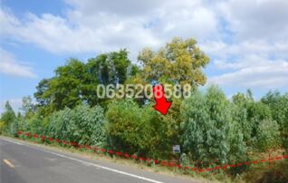 ขายที่ดิน ถนนสายบ้านไพรขลา-บ้านโพนม่วง (สร.4001)