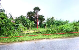 ทรัพย์ธนาคารโดย KASIKORNBANK ที่ดิน ถนนสายบ้านกระดังงา-บ้านวัดกระชายทะเล