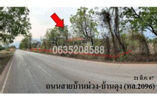 ขายโกดัง/โรงงาน ถนนสายบ้านม่วง-บ้านดุง (ทล.2096)