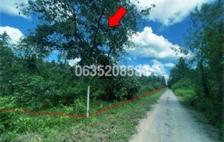 ขายที่ดิน ถนนสายบ้านหนองน้อย-บ้านสถานี (ลป.4267)
