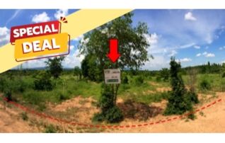 ทรัพย์สถาบันโดย บริษัท บริหารสินทรัพย์สุขุมวิท จำกัด ที่ดิน ถนนสายบ้านยางป่า-โคกสูง (ชย.4077)