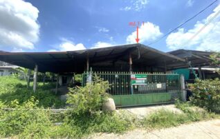 ทรัพย์ธนาคารโดย KASIKORNBANK บ้านเดี่ยว ถนนปัทมานนท์(ทล.214)
