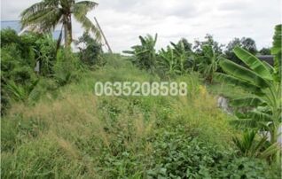 ขายที่ดิน ซอยเพชรเกษม 110 แยก 14-1-1-2 ถนนเพชรเกษม (ทล.4)