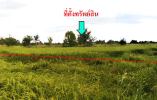 ทรัพย์สถาบันโดย KASIKORNBANK ที่ดิน ถนนสายบ้านด่าน-บ้านหนองกอย แยกจากถนนสายเลี่ยงเมือง-ด่านพรมแดน (สก.2089)