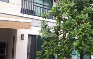 🏡ขายด่วน! ขายทาวน์โฮม โมดิ วิลล่า ชัยพฤกษ์ (Modi Villa) แปลงสวยหน้าบ้านติดสวน หันหน้าทิศเหนือร่มรื่น แถมเฟอร์ฯ พร้อมอยู่ : เจ้าของขายเอง (งดรับนายหน้า)