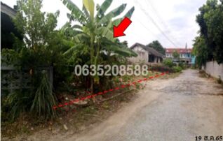 ขายที่ดิน ถนนพาณิชพัฒนา 1