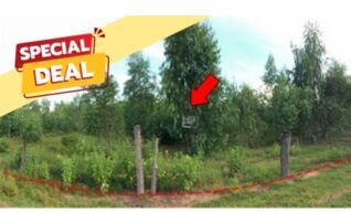 ทรัพย์สถาบันโดย บริษัท บริหารสินทรัพย์สุขุมวิท จำกัด ที่ดิน ถนนสายบ้านยางป่า-โคกสูง (ชย.4077)