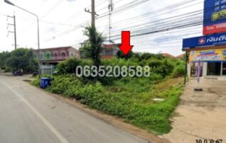 ขายที่ดิน ถนนสายนครสวรรค์-ชุมแสง (ทล.225)